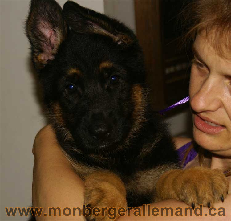 Sammy est parti dans le coin de Val d'or en abittibi, Latulipe